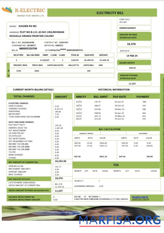 Blank PAKISTAN K ELECTRIC LIMITED business utility bill Word and PDF template